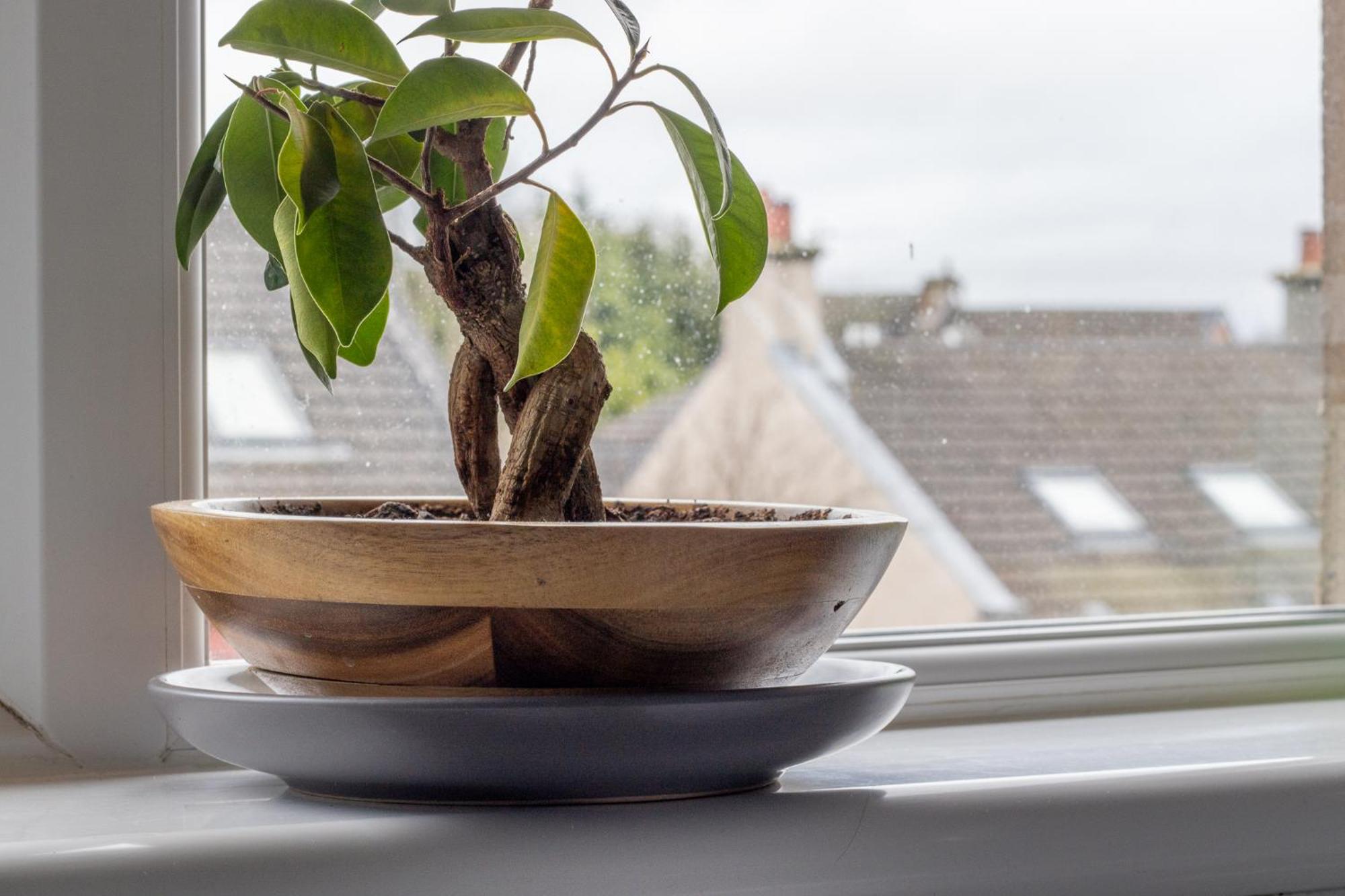 1 Bed Apartment Central Hamilton Free Wifi With Great Transport Links To Glasgow Extérieur photo